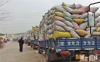 多措并举筑牢粮食安全基石 加强收购市场监管，助力民间工艺发展