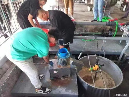 农用酵素微生物工厂落户灵丘，为乡村振兴注入绿色科技新动能